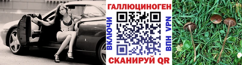 Псилоцибиновые грибы Cubensis  даркнет сайт  кракен ТОР  Павловский Посад 